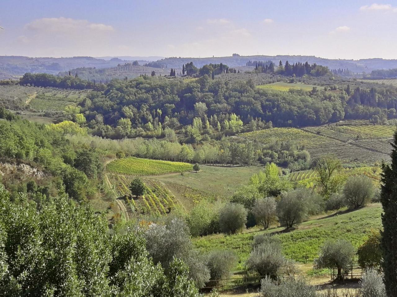 Agriturismo Villa Gorgognano チェルタルド エクステリア 写真